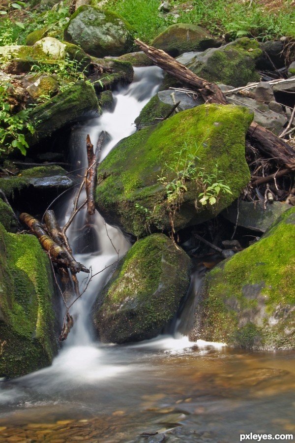 Mossy Rocks